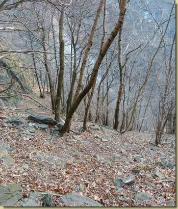 in discesa dalla dorsale sotto al Mot Gianin...