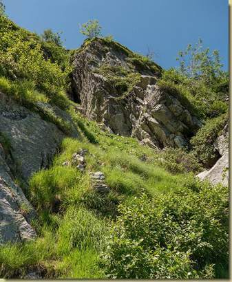seguendo le tracce dei camosci...