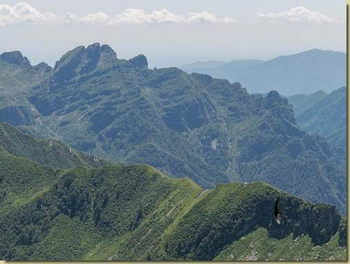 vista verso il Pedum...