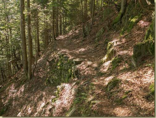sentiero che entra nella Valle del Rio Ragno...