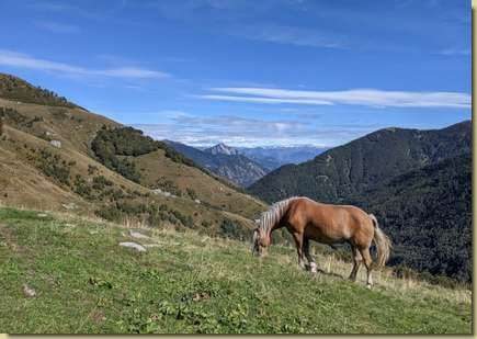in Valle del Basso...