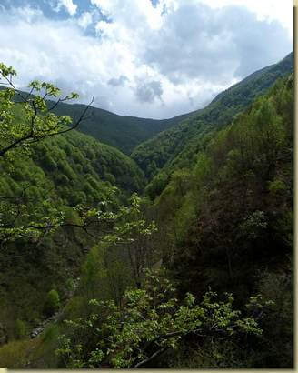 la Valle del Rio di Crealla...
