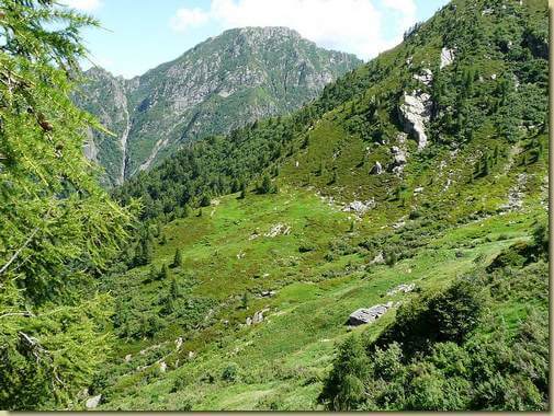 il prato dell'Alpe Campo - sullo sfondo il Torrione 