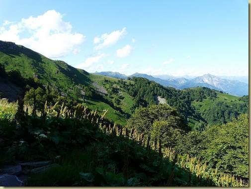 panorama dall'Alpe Druzzo 