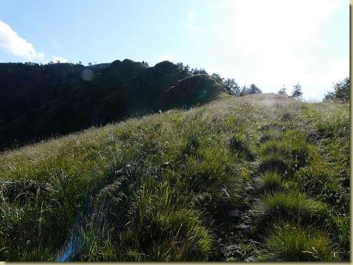 la dorsale che sale verso La Cima 1810 m. 