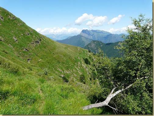verso l'Alpe Or de Zu... 