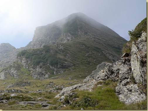 la Cima di Cortechiuso (dalla Bocchetta) 