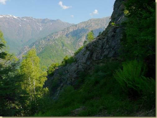 vista verso nord dall'Alpe Ossella  