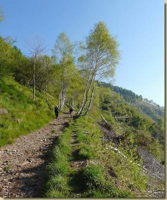 sulla mulattiera verso il Pian Cavallone
