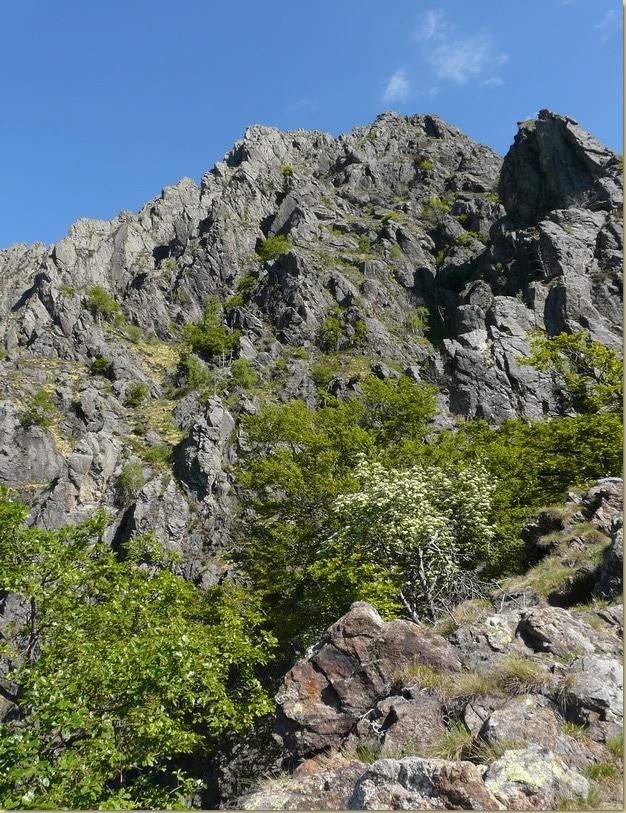 alle pendici del Pizz d'la Vugia...