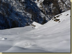 Bondolo in inverno...