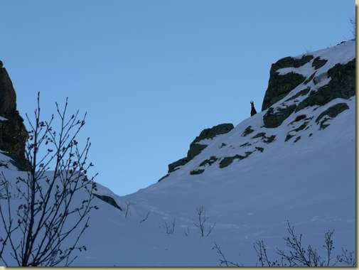 verso la bocchetta per la Cima di Campo...