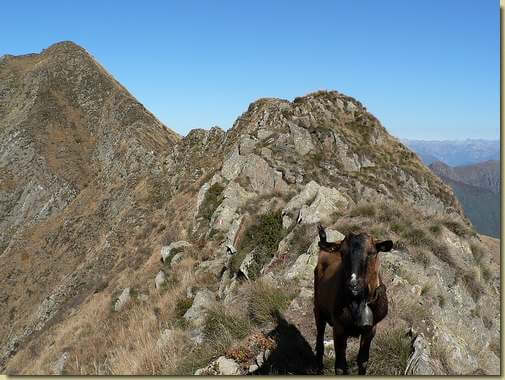 incontri sulla cresta...