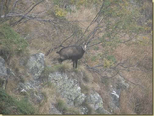 incontri sul prato di Ghina...