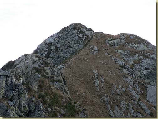 salendo alla Cima Marsicce 