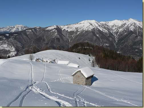 all'Alpe Campra 