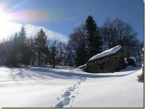 Alpe la Motta 