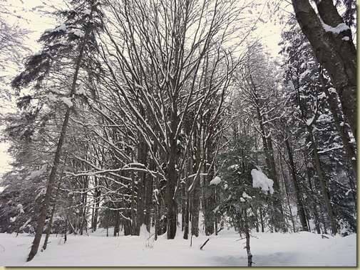 inverno... 