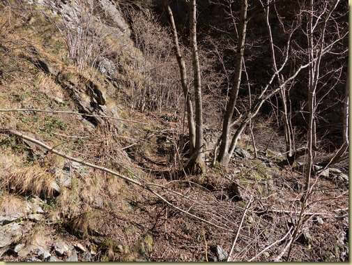 scendendo ai ruderi inferiori...