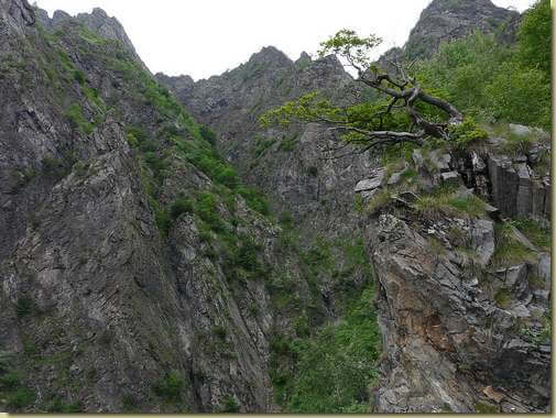 il canale risalito fino alla cresta in un giro precedente