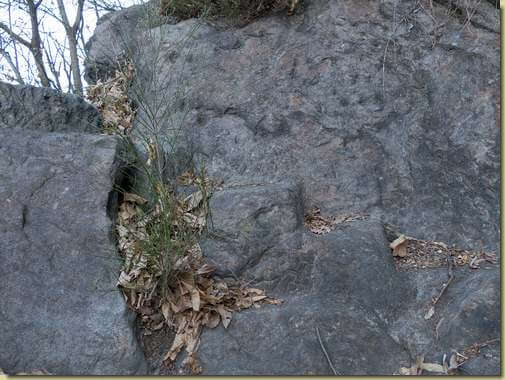 gradini scolpiti nella roccia...