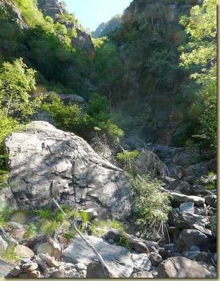 nel canale del Rio Cornera...
