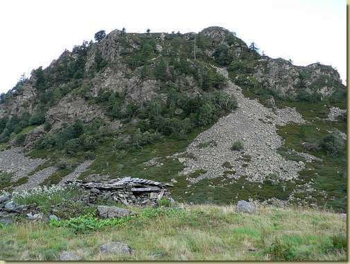 Alpe Campo di Sopra e Motta di Campo 
