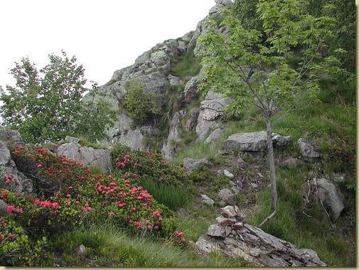 alla Bocchetta di Saut&igrave;