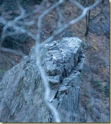 la cima...