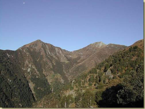 Testa di Menta e Tignolino